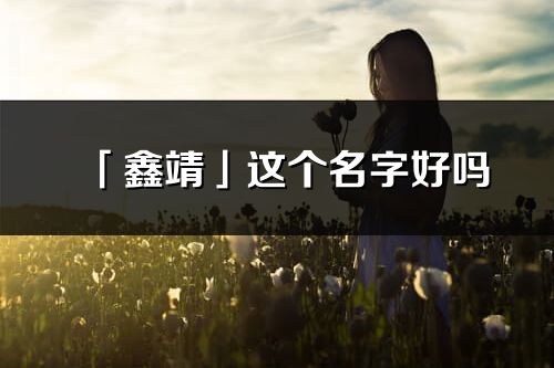 「鑫靖」這個名字好嗎_鑫靖名字寓意,含義