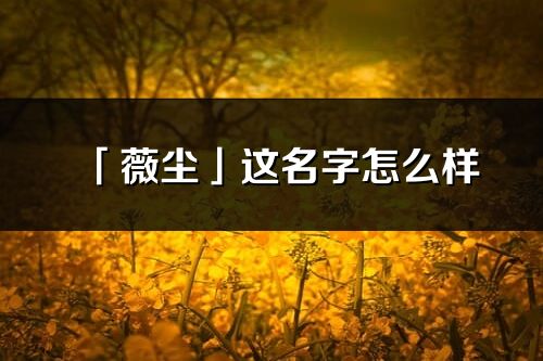 「薇塵」這名字怎么樣_薇塵的名字解釋