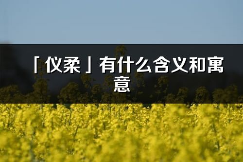 「儀柔」有什么含義和寓意_儀柔名字的出處與意思