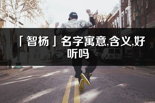 「智楊」名字寓意,含義,好聽嗎_智楊名字分析打分