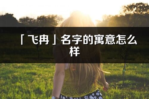 「飛冉」名字的寓意怎么樣_飛冉的出處