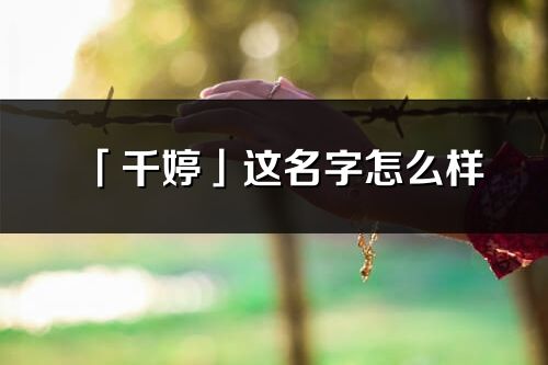 「千婷」這名字怎么樣_千婷的名字解釋
