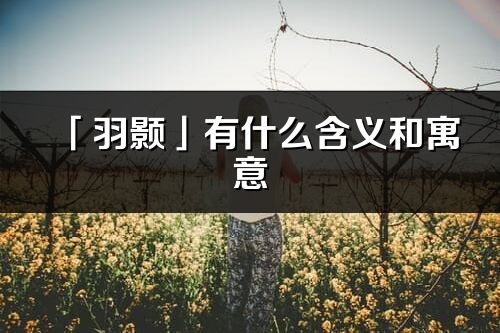 「羽顥」有什么含義和寓意_羽顥名字的出處與意思