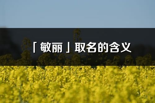 「敏麗」取名的含義_敏麗名字寓意