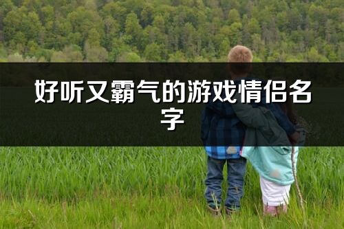 好聽又霸氣的游戲情侶名字(共373個)