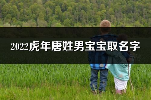 2022虎年唐姓男寶寶取名字