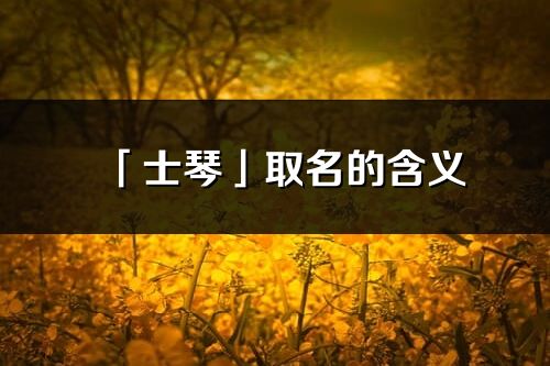 「士琴」取名的含義_士琴名字寓意解釋