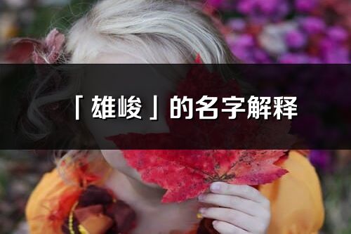 「雄峻」的名字解釋_雄峻含義分析