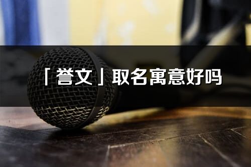 「譽(yù)文」取名寓意好嗎_譽(yù)文名字含義及寓意