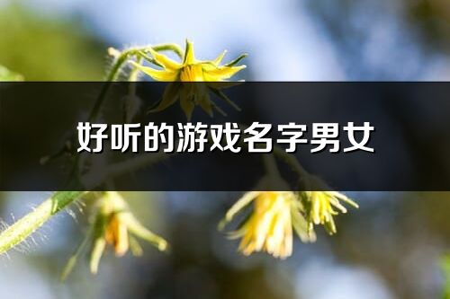 好聽的游戲名字男女(優選393個)