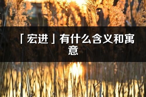 「宏進」有什么含義和寓意_宏進名字的出處與意思