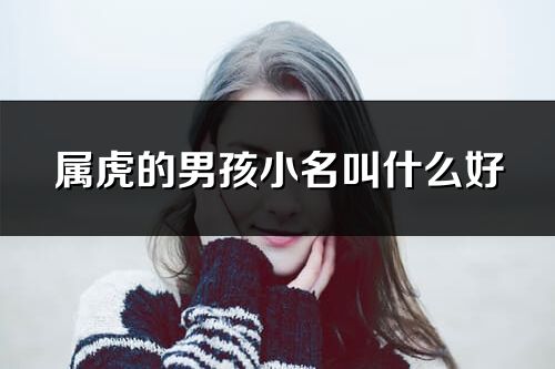 屬虎的男孩小名叫什么好