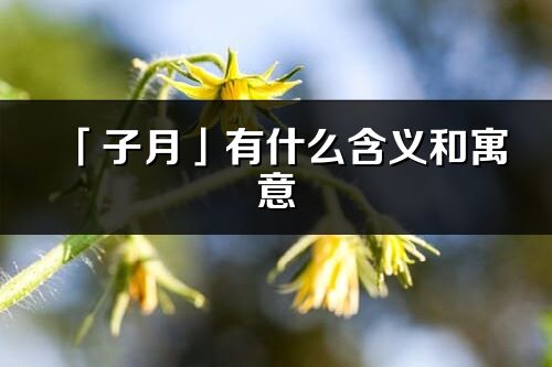 「子月」有什么含義和寓意_子月名字的出處與意思