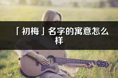 「初梅」名字的寓意怎么樣_初梅的出處