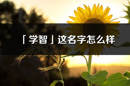 「學智」這名字怎么樣_學智的名字解釋
