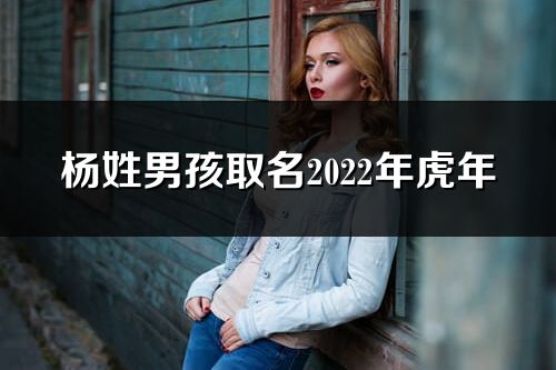 楊姓男孩取名2022年虎年