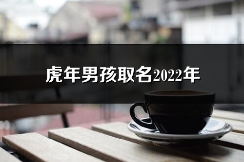 虎年男孩取名2022年