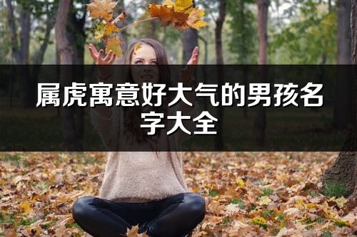 屬虎寓意好大氣的男孩名字大全