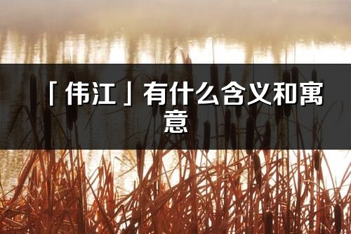 「偉江」有什么含義和寓意_偉江名字的出處與意思