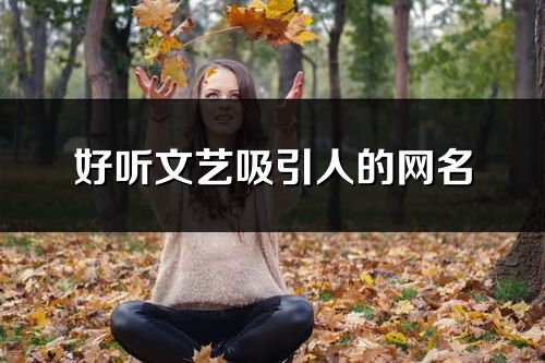 好聽(tīng)文藝吸引人的網(wǎng)名