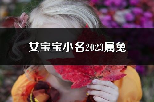 女寶寶小名2023屬兔