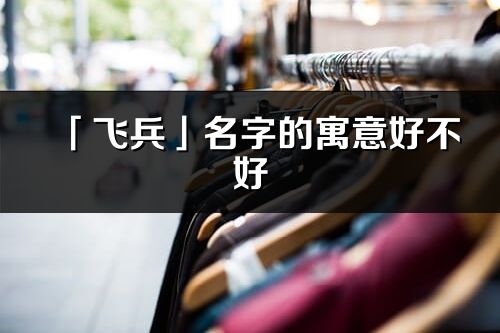 「飛兵」名字的寓意好不好_飛兵含義分析