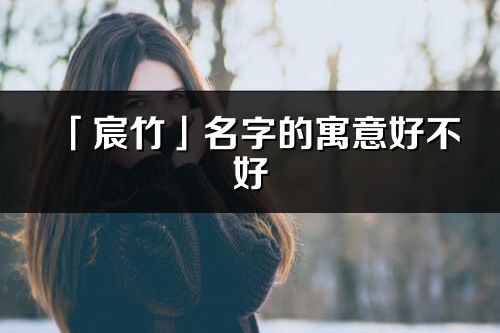「宸竹」名字的寓意好不好_宸竹含義分析