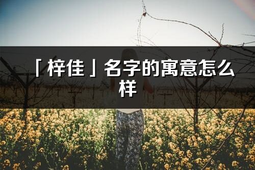 「梓佳」名字的寓意怎么樣_梓佳的出處