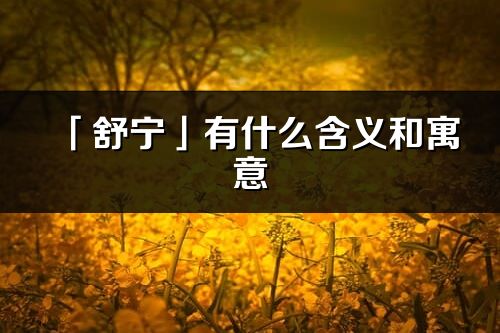 「舒寧」有什么含義和寓意_舒寧名字的出處與意思