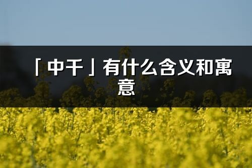 「中千」有什么含義和寓意_中千名字的出處與意思