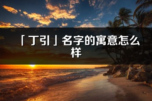 「丁引」名字的寓意怎么樣_丁引的出處