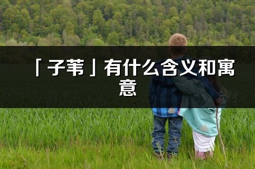 「子葦」有什么含義和寓意_子葦名字的出處與意思