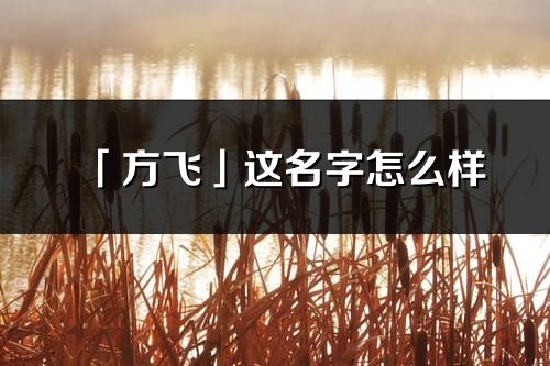 「方飛」這名字怎么樣_方飛的名字解釋