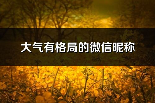 大氣有格局的微信昵稱(694個)