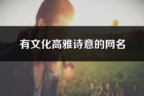 有文化高雅詩意的網名