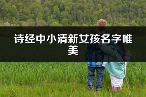 詩經中小清新女孩名字唯美