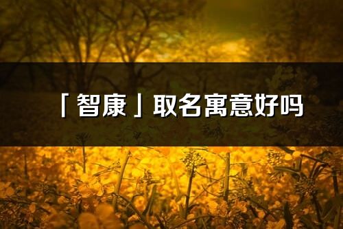 「智康」取名寓意好嗎_智康名字含義及五行