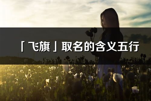 「飛旗」取名的含義五行_飛旗名字寓意解釋