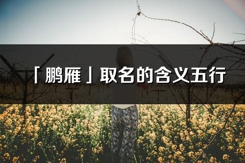 「鵬雁」取名的含義五行_鵬雁名字寓意解釋