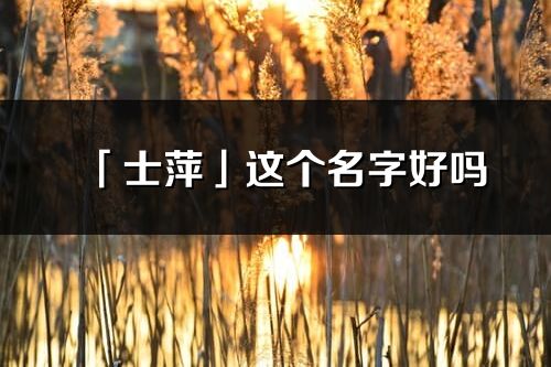 「士萍」這個名字好嗎_士萍名字寓意,含義
