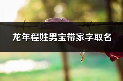 龍年程姓男寶帶家字取名