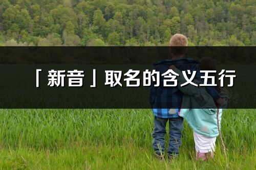 「新音」取名的含義五行_新音名字寓意解釋