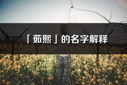 「茹熙」的名字解釋_茹熙含義分析