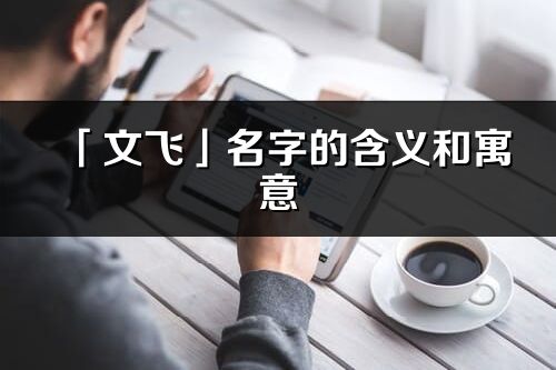 「文飛」名字的含義和寓意_文飛的出處與意思解釋