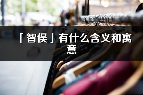「智俁」有什么含義和寓意_智俁名字的出處與意思