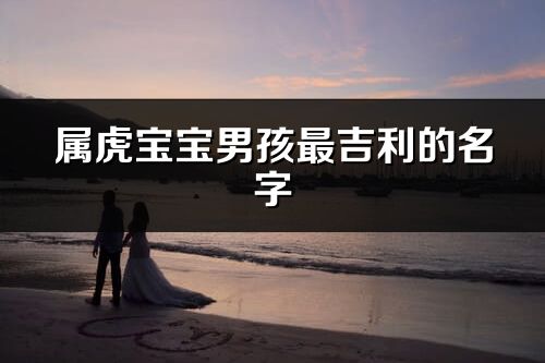 屬虎寶寶男孩最吉利的名字