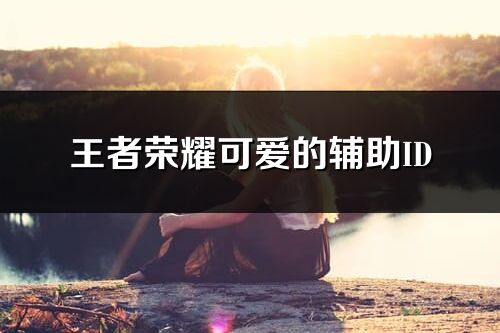 王者榮耀可愛的輔助ID(優(yōu)選257個)