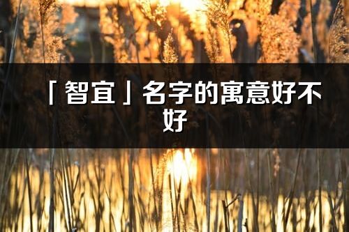 「智宜」名字的寓意好不好_智宜含義分析