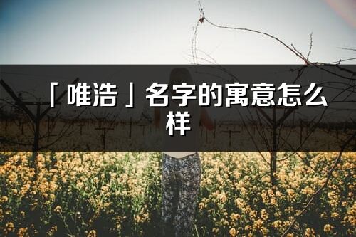 「唯浩」名字的寓意怎么樣_唯浩的出處