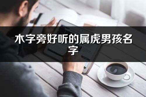 木字旁好聽的屬虎男孩名字